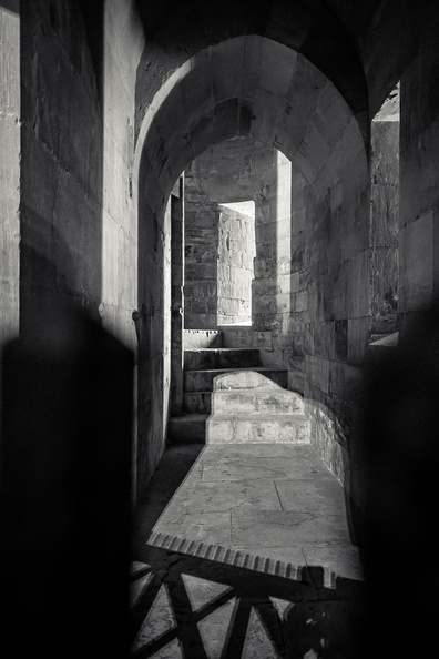 IPH_4675_07-09-2025.jpg